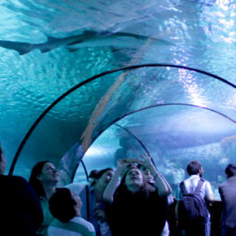 Aqua Vega Ankara