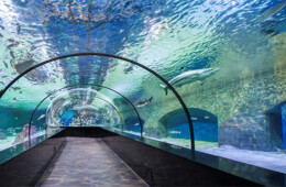 Aqua Diyarbakır
