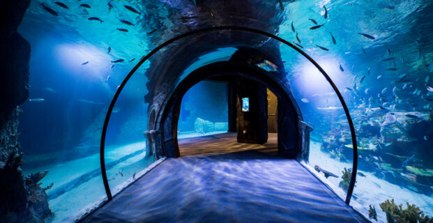 Funtastic Aquarium İzmir