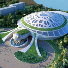 Sea Shell Aquarium