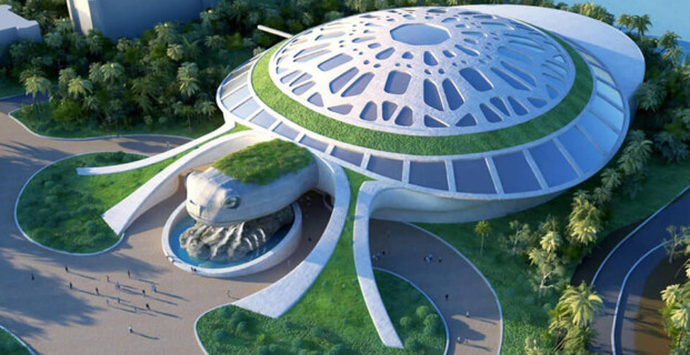 Sea Shell Aquarium