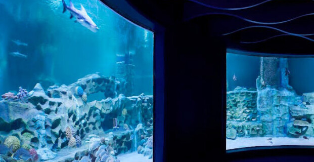 VGP Marine Kingdom
