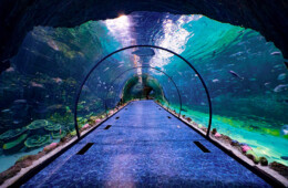 Abu Dhabi Aquarium