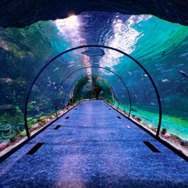 Abu Dhabi Aquarium