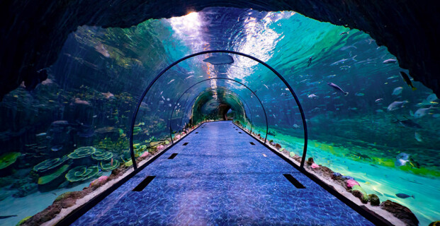 Abu Dhabi Aquarium
