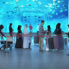 Doha Port Aquarium